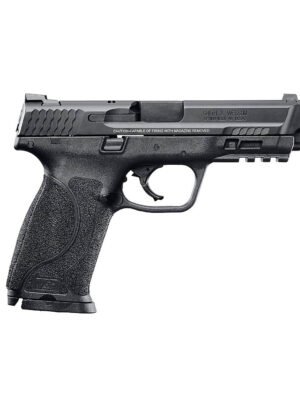 Buy SMITH & WESSON M&P40 SHIELDM2.0 40 S&W COMPACT 7-ROUND PISTOL Online