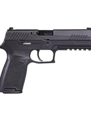 SIG SAUER P320 FULL .40 S&W PISTOL For Sale