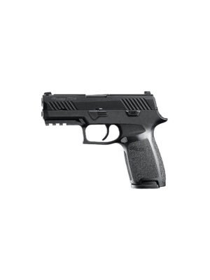 Buy SIG SAUER P320 CARRY .45 ACP PISTOL Near Me