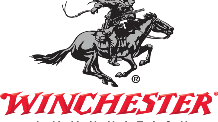 A Brief History of Winchester Arms