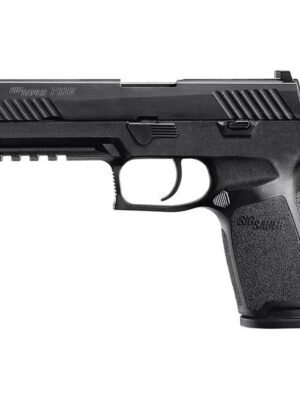 Sig Sauer P320 Nitron Compact 45 ACP