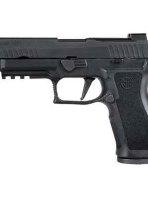 Sig Sauer P320 XFULL