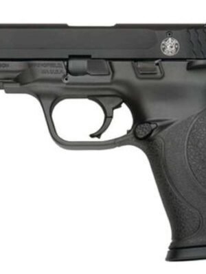 Smith & Wesson M&P22 Pistol, 22LR, 12 Round Mag