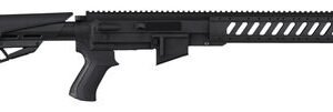 Advanced Technology Ruger AR-22 Rifle Polymer/Aluminum Black